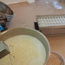 produzione formaggi freschi con latte nazionale